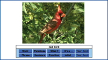 BWWild2