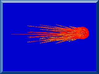 Orientation Module